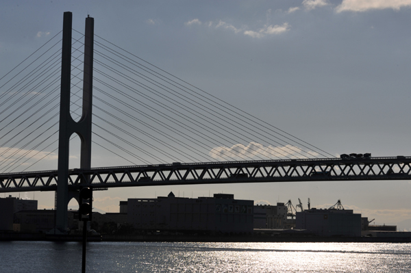 1122 sakoube 2 DSC_7418.jpg